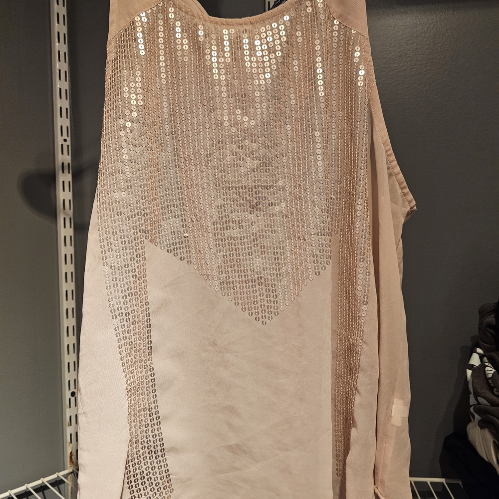 American Eagle Outfitters Sequin Blush Tank Top
